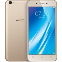 Vivo Y54 Capture Every Detail