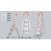 Backgammon Household Ladder